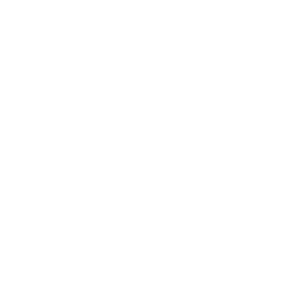 Preparation for employment and everyday life